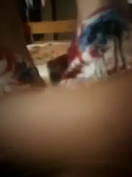 PussyMasterPhD1 online show from November 11, 2025, 9:15 pm