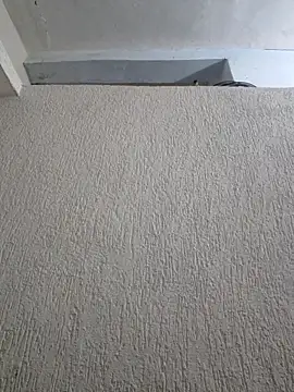 Priya Strip online show from March 28, 2026, 8:30 pm