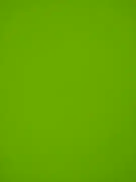 Snapshot of danilogarcia33 chatting on January 18, 2025, 3:16 pm danilogarcia33 online show from January 18, 2025, 3:16 pm