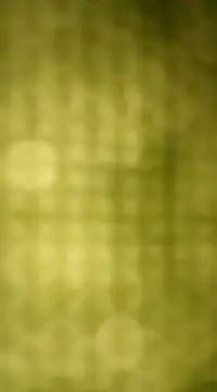 Sexybeer2005 online show from December 7, 2024, 10:06 pm