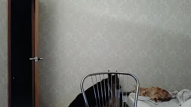Snapshot of Kashtanka_ chatting on December 10, 2024, 4:56 am Kashtanka online show from December 10, 2024, 4:56 am