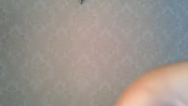 Snapshot of Kashtanka_ chatting on October 27, 2025, 7:56 am Kashtanka online show from October 27, 2025, 7:56 am