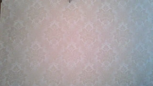 Snapshot of Kashtanka_ chatting on November 4, 2025, 8:57 am Kashtanka online show from November 4, 2025, 8:57 am