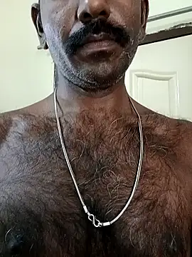 Chocolate stud10 online show from February 14, 2026, 8:55 am