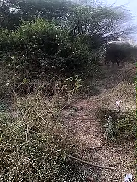 Abinash7732 online show from February 1, 2026, 3:05 am