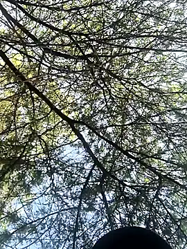 Abinash7732 online show from March 8, 2026, 2:15 am