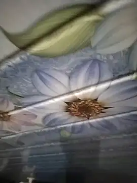 kunalmishra2003 online show from November 20, 2025, 11:48 pm