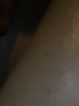 Snapshot of HBYAM chatting on December 30, 2024, 6:38 pm HBYAM online show from December 30, 2024, 6:38 pm