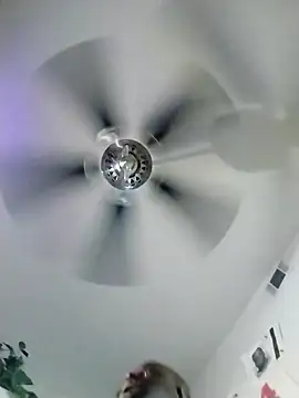 Snapshot of HBYAM chatting on March 16, 2025, 1:17 pm HBYAM online show from March 16, 2025, 1:17 pm