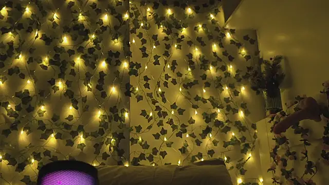 Snapshot of Brenda_M00n chatting on December 28, 2024, 3:37 pm Brenda M00n online show from December 28, 2024, 3:37 pm