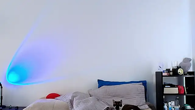 Snapshot of anika_lowen02 chatting on February 6, 2025, 8:23 pm anika lowen02 online show from February 6, 2025, 8:23 pm