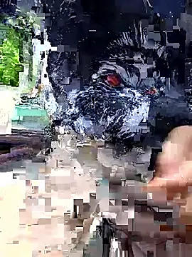 papi lover12 online show from May 23, 2026, 6:12 pm