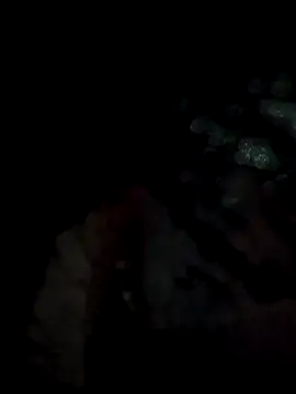 lit702 online show from April 6, 2026, 8:54 pm