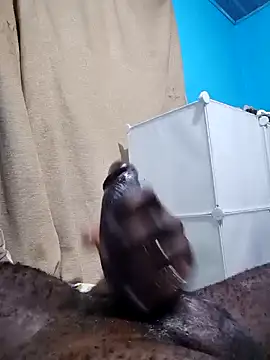 Snapshot of Dick_undisputed chatting on January 7, 2025, 1:17 am Dick undisputed online show from January 7, 2025, 1:17 am