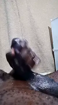 Snapshot of Dick_undisputed chatting on January 13, 2025, 12:19 am Dick undisputed online show from January 13, 2025, 12:19 am