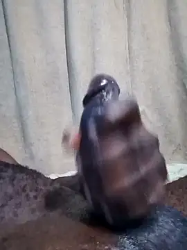 Snapshot of Dick_undisputed chatting on January 17, 2025, 8:13 am Dick undisputed online show from January 17, 2025, 8:13 am