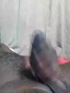 Snapshot of Dick_undisputed chatting on February 12, 2025, 1:30 am Dick undisputed online show from February 12, 2025, 1:30 am