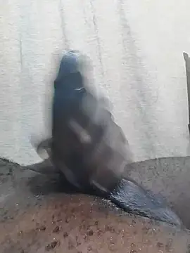 Snapshot of Dick_undisputed chatting on February 23, 2025, 12:16 pm Dick undisputed online show from February 23, 2025, 12:16 pm