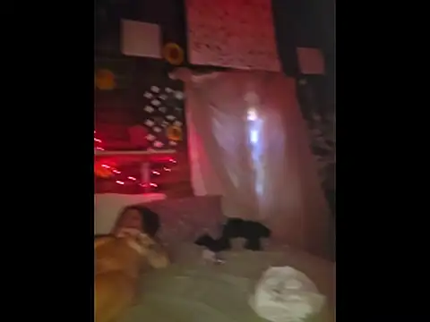 pdoc07 online show from April 27, 2026, 5:11 pm