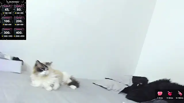 SophieBaker   online show from February 3, 2026, 2:10 am