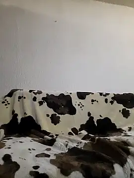 Zgodanilep online show from February 13, 2025, 7:42 pm