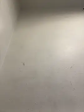 honeybrow online show from January 8, 2025, 9:55 pm