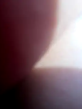 Blue butterfly online show from September 28, 2025, 6:13 pm