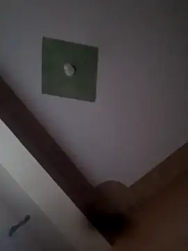 BriannaVincent online show from October 2, 2025, 3:57 am