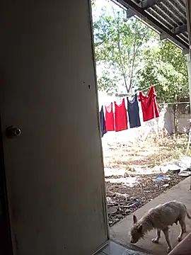 Andresguz35 online show from February 8, 2026, 8:23 pm