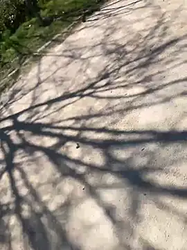 Lucascacaca online show from March 24, 2026, 1:05 pm