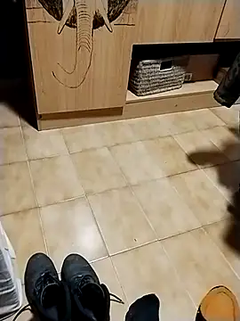 minitranca online show from October 28, 2025, 8:22 pm