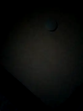 minitranca online show from February 12, 2026, 10:05 pm