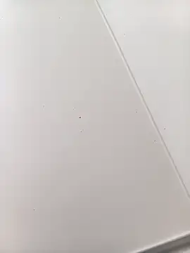 bbferlinaa online show from March 21, 2026, 7:50 pm