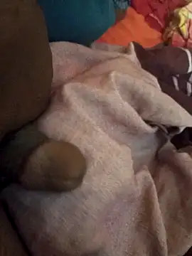 sadunt online show from March 14, 2026, 6:52 am