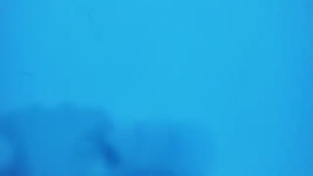  hairybeard  online show from February 20, 2025, 9:22 am