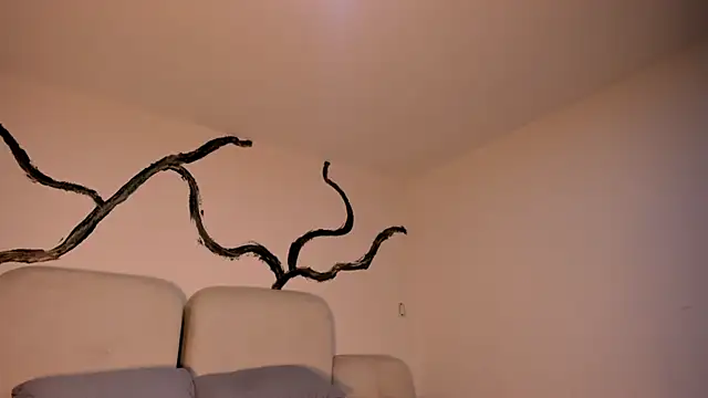 Snapshot of EthanTravis_ chatting on February 11, 2025, 7:33 am EthanTravis  online show from February 11, 2025, 7:33 am