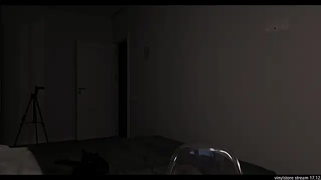 vinylstore online show from December 17, 2025, 5:19 pm