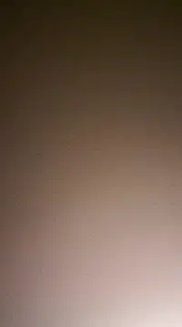 NewKing100 online show from December 2, 2024, 3:37 am