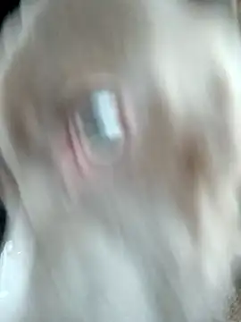 Snapshot of hoesinthishouse78 chatting on November 22, 2025, 8:52 pm hoesinthishouse78 online show from November 22, 2025, 8:52 pm