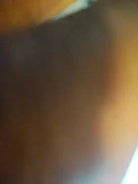 ptrz990 online show from February 17, 2026, 1:51 pm