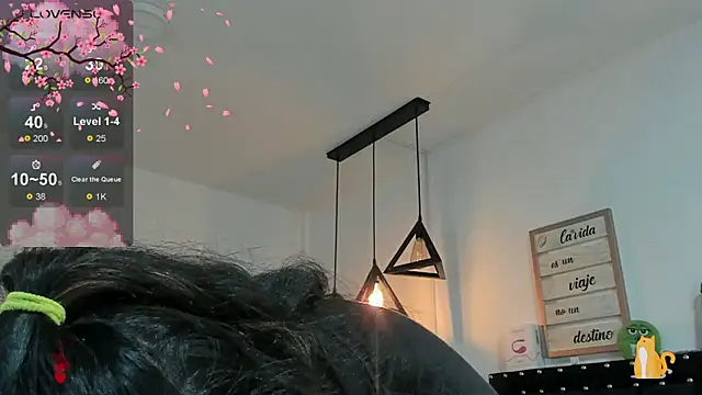 meow mota online show from January 14, 2025, 8:04 pm