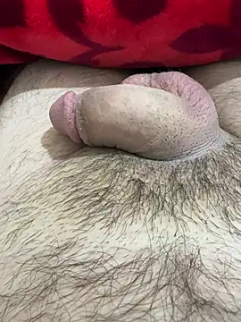 TheArabicGuyx online show from February 25, 2026, 7:45 pm