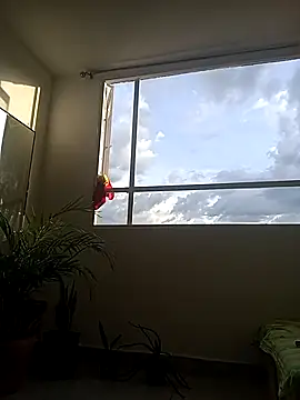 Snapshot of Dangerouspassion777 chatting on September 30, 2025, 10:04 pm Dangerouspassion777 online show from September 30, 2025, 10:04 pm