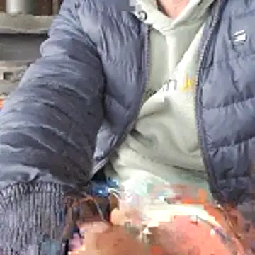 Lumpi1988A online show from February 19, 2026, 11:39 am