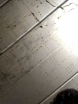 Snapshot of macg96 chatting on December 4, 2024, 7:17 am macg96 online show from December 4, 2024, 7:17 am