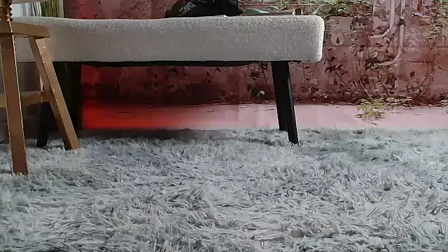 Snapshot of priselvis23 chatting on March 12, 2025, 6:22 pm priselvis23 online show from March 12, 2025, 6:22 pm