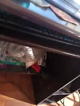 lobomisterioso13 online show from April 8, 2026, 2:17 pm