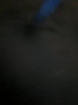 A-mira online show from February 10, 2026, 10:52 am