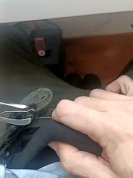 the lion 69 online show from February 5, 2026, 9:58 am