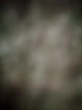 INDIANBOY7439 online show from March 5, 2026, 10:33 am